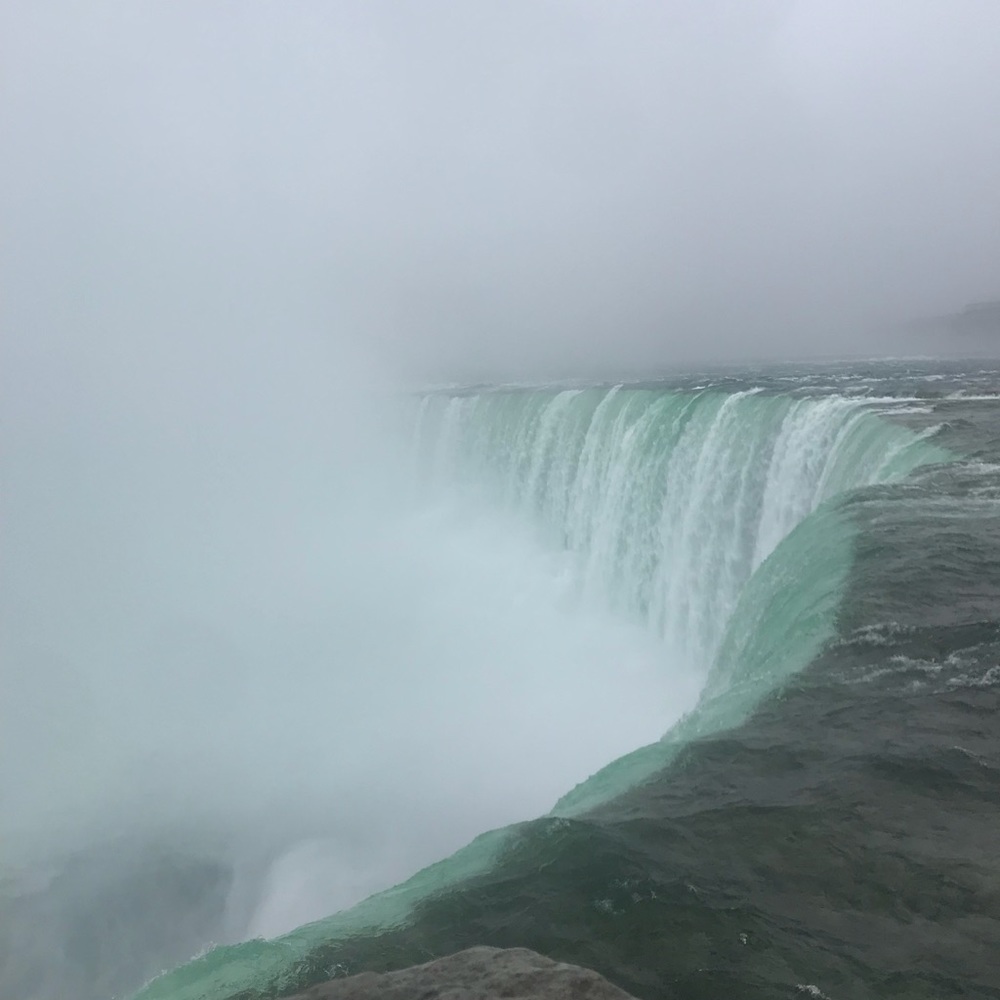 Meet your Posher, Makenzie